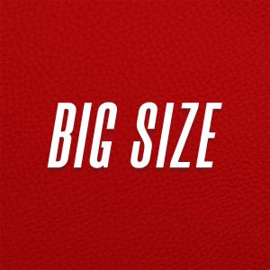 icon Big sizes